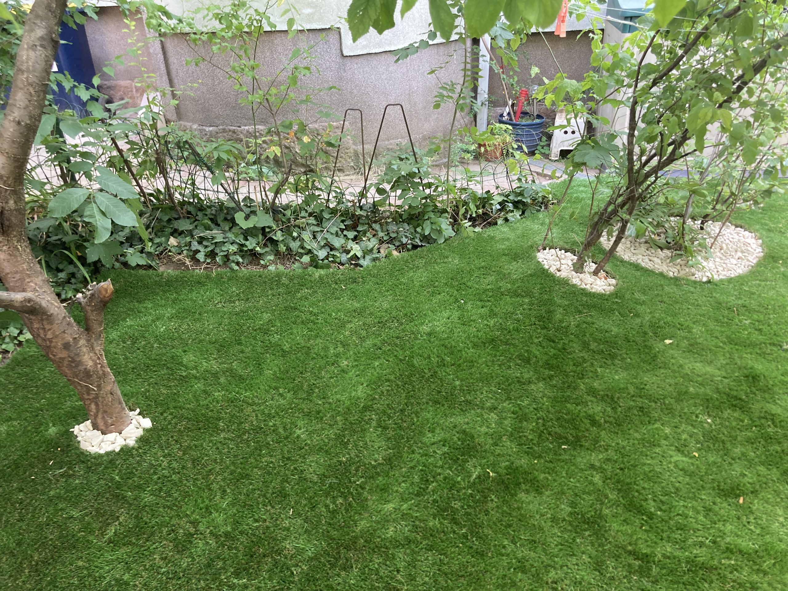50mm Earth