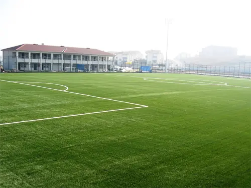 DSC08341-768x576